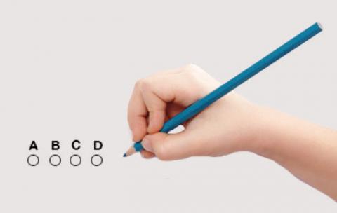 Naplan_Web_Button.jpg
